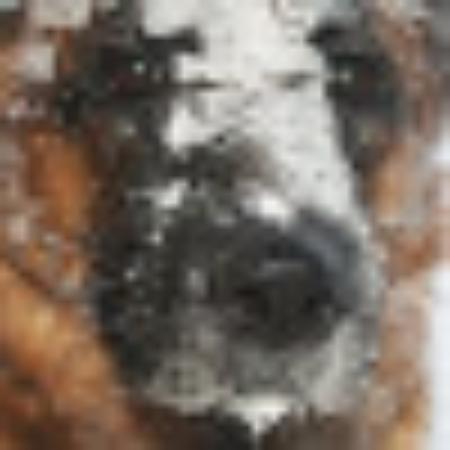 photo of Katybubbles