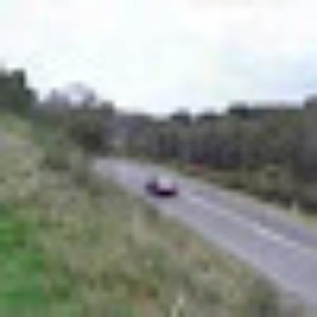 photo of Petshopboy8