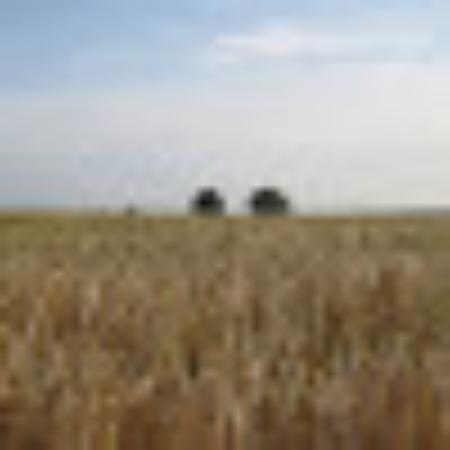 photo of nunoncastors