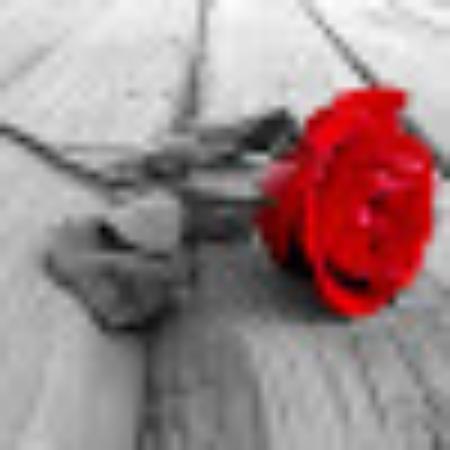 photo of kiwiadventure1