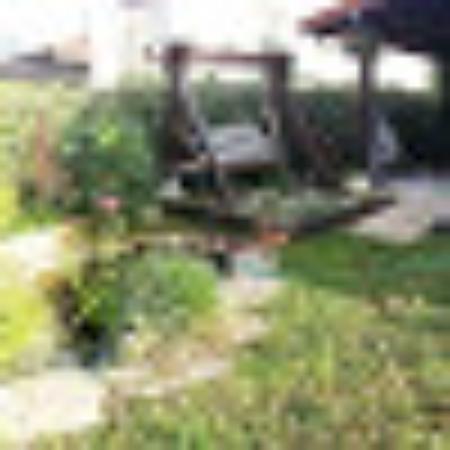 photo of reinisdoron