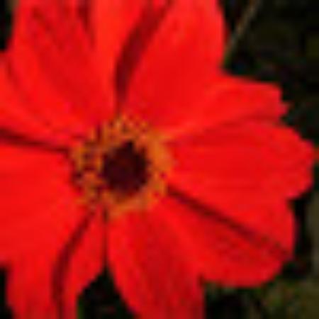 photo of annarU921CX