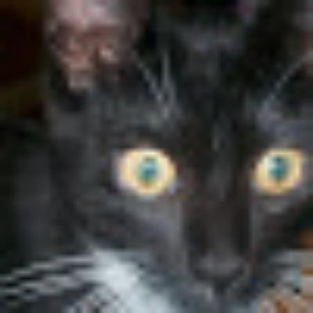 photo of AussieOma58