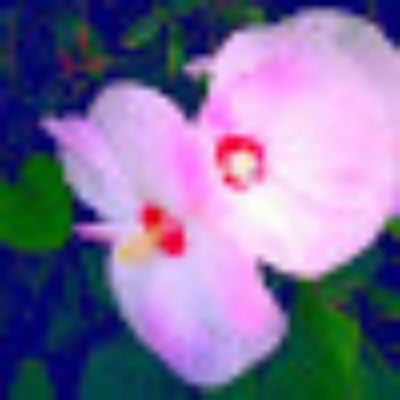 photo of 992claudiaj