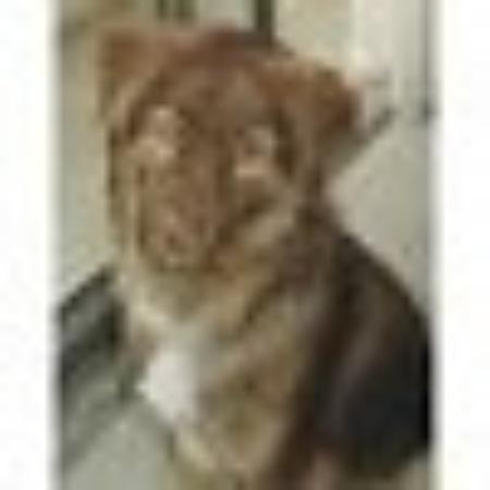 photo of Barbara Ann B