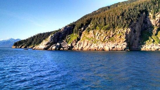 Photo by Oceandweller7