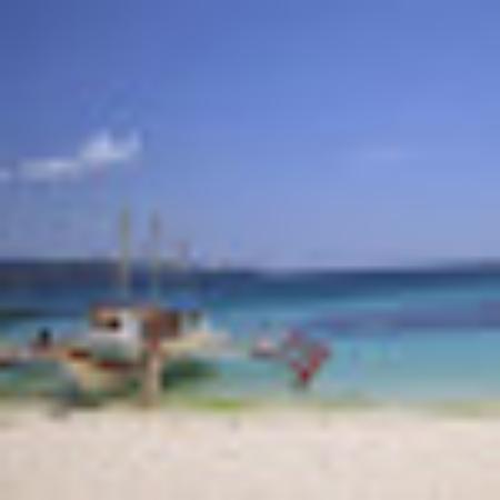 photo of sheldonc527