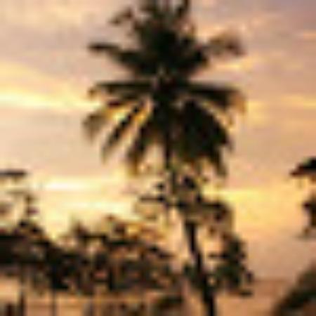 photo of AlexisZafei