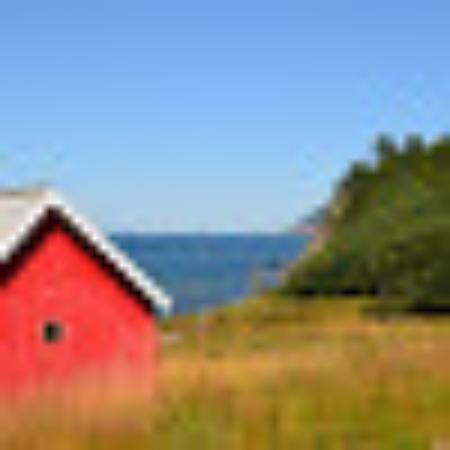 photo of michelemA5165YR