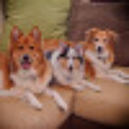 photo of 36dawnmariec