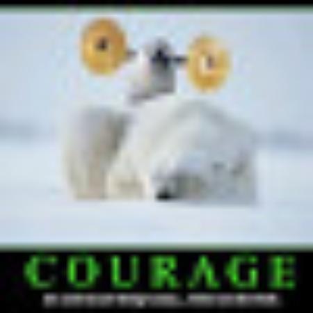 photo of nicolasdS9484SM