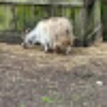 photo of Jonnytravelpants