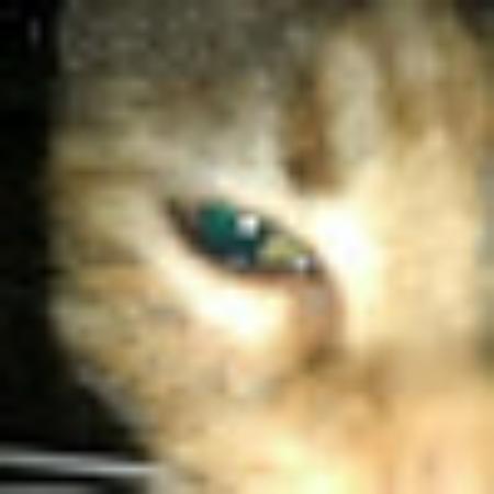 photo of 562deidref