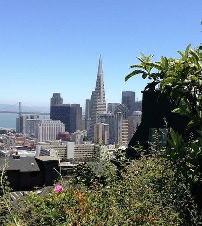 Fern Hill Walking Tours