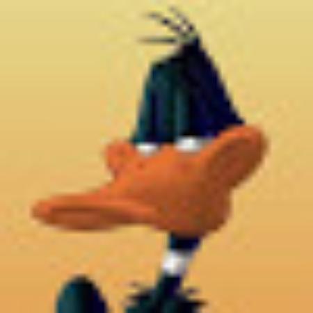 photo of Wolfhound1956