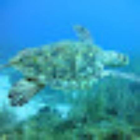 photo of 75benedetta