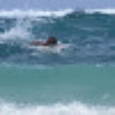 photo of Maximilian H