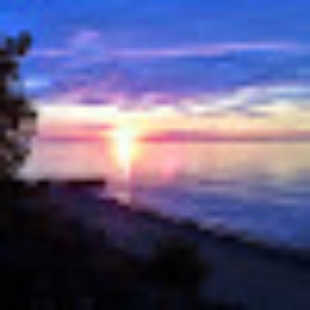 photo of 702khurramh