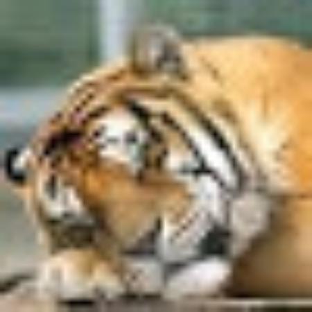 photo of HeathcoteMctavish