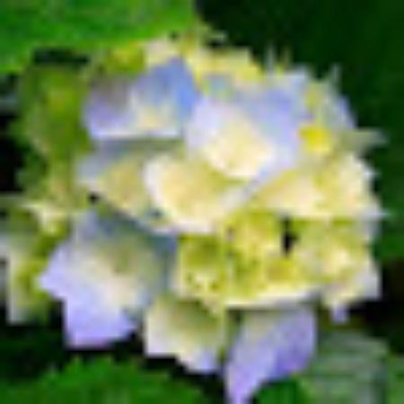 Photo of kdeemo