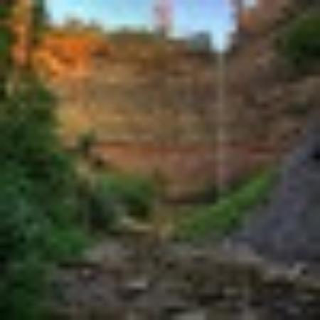 Photo of Explorer_CAN