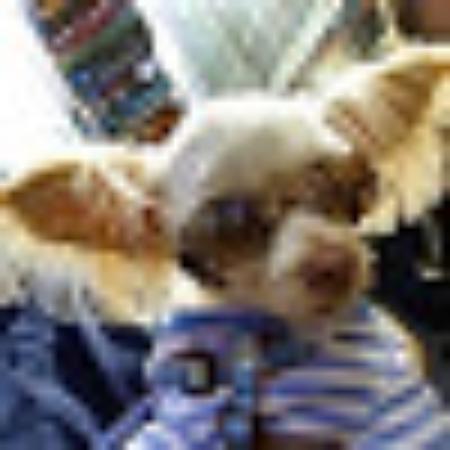 photo of I810MTsarahk