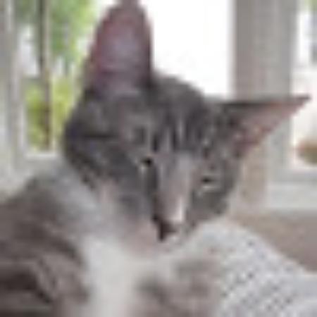 Photo of Michael W