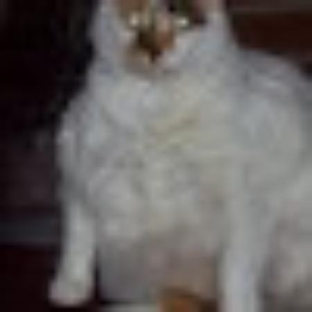 photo of donnamF4068UP