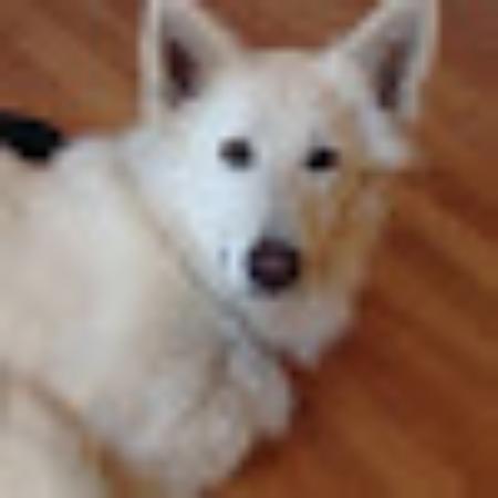 photo of KendeMalamu