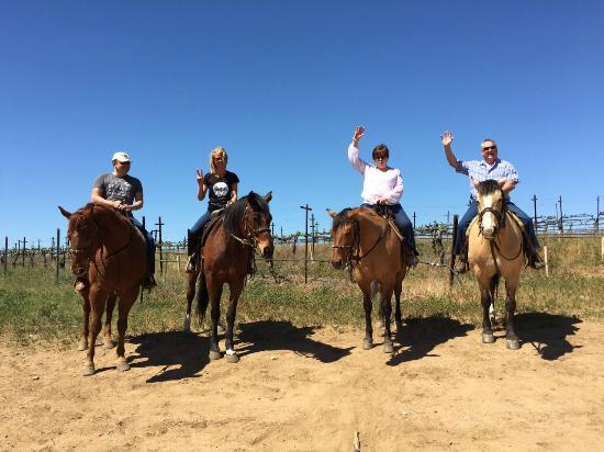 Wine Country Trails by Horseback