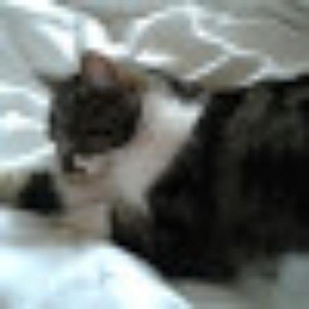 photo of kimcZ3823MF