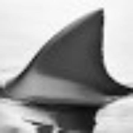 photo of 726francescoz