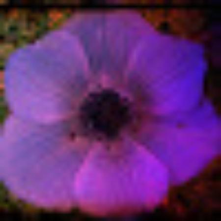 Photo of Laura A