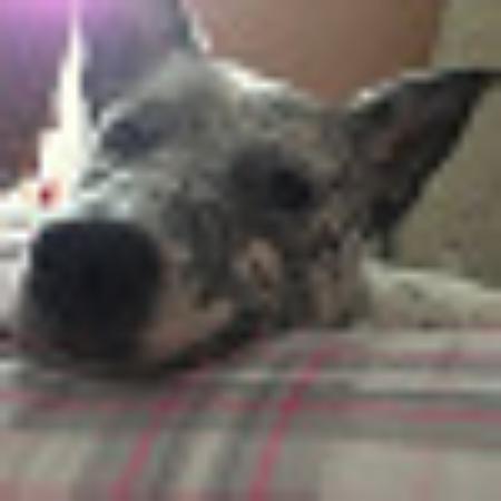 photo of Sunshinebefree