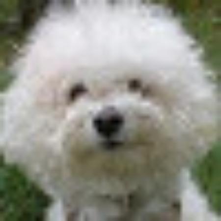 Photo of 338larryj