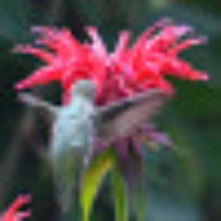 Photo of Beach13comber