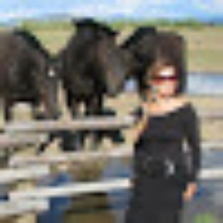 Photo of 1traveladdictcom