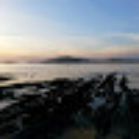 photo of Catherine M