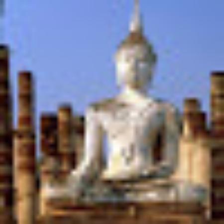 photo of peterrH4574KO