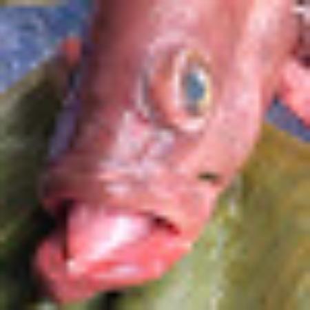 photo of SeattleSkyQueen220