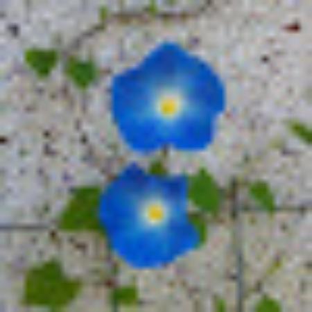 photo of oceanghurl999