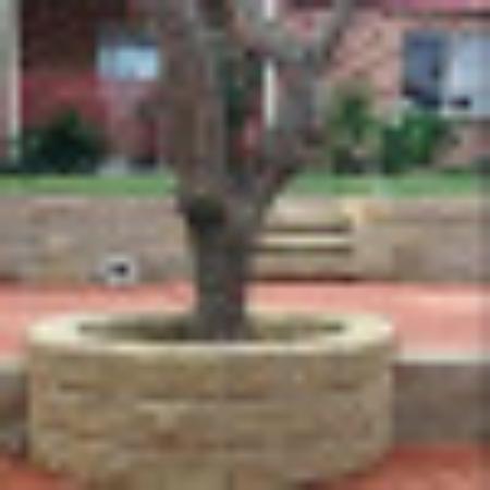 photo of 103wijithag