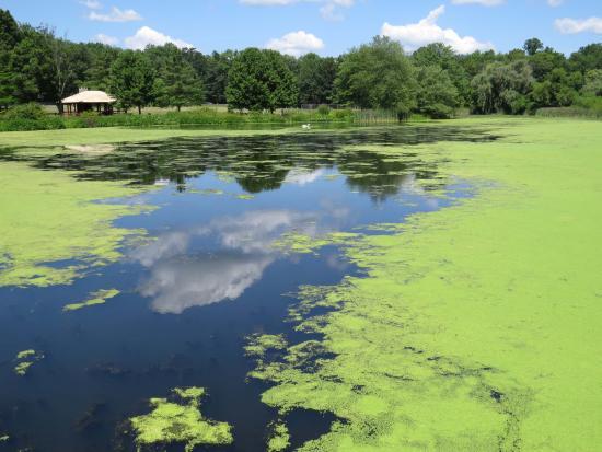 Loantaka Brook Reservation
