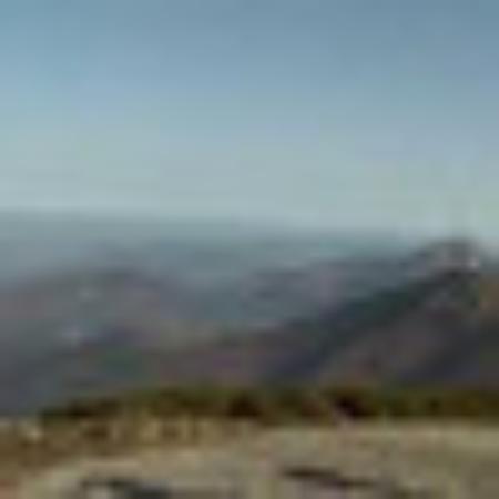 photo of martinmQ7956FR