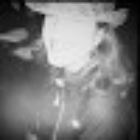 photo of elizabethk977