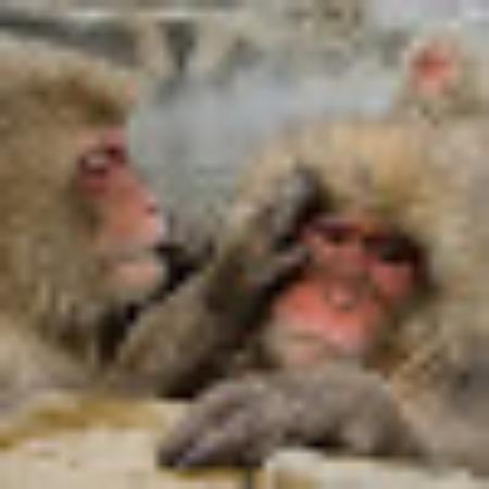 Photo of crlowryjr