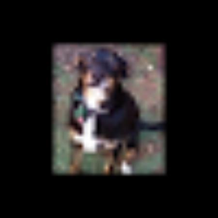 photo of paultZ9388WG