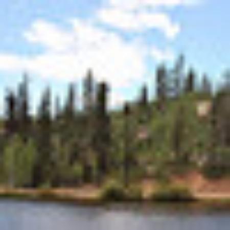 Photo of 718bp