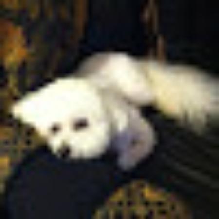 photo of 38jerryu