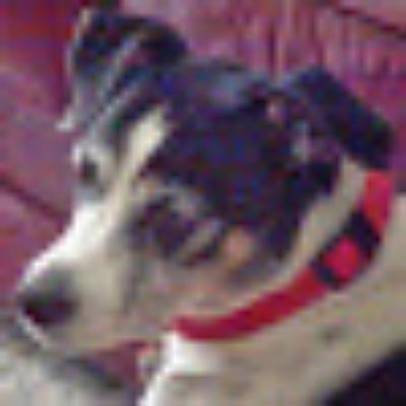 Photo of Peggysue T